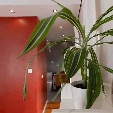 Vigario - Alfama Charm House Lissabon